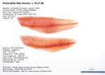 Ocean Whitefish Fillets Image