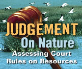 judgement on nature