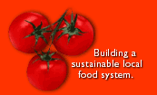 Building a Sustainable Local Food System