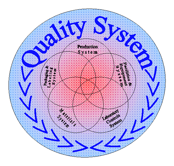 Figure depicting Quality System module as encompassing other 5 modules depicted as intersecting circles. 