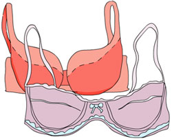 Illustration of bras
