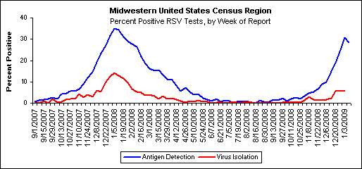 Graph: Midwestern United States percent positive RSV tests, by week
