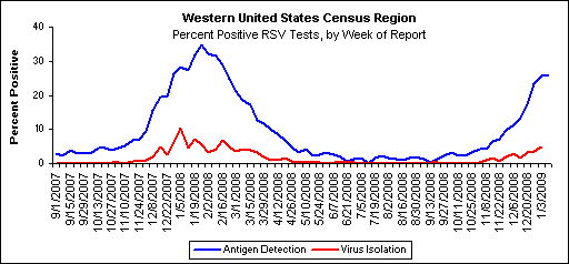 Graph: Western United States percent positive RSV tests, by week