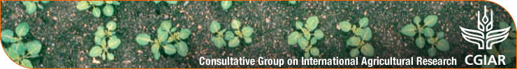 CGIAR: Consultative Group on International Agricultural Research