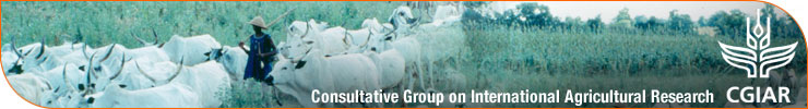 CGIAR: Consultative Group on International Agricultural Research