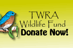 Donate to the TWRA Wildlife Endowment Fund