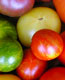 Find the best tomato varieties at Cornell's Vegetable Varieties for Gardeners website