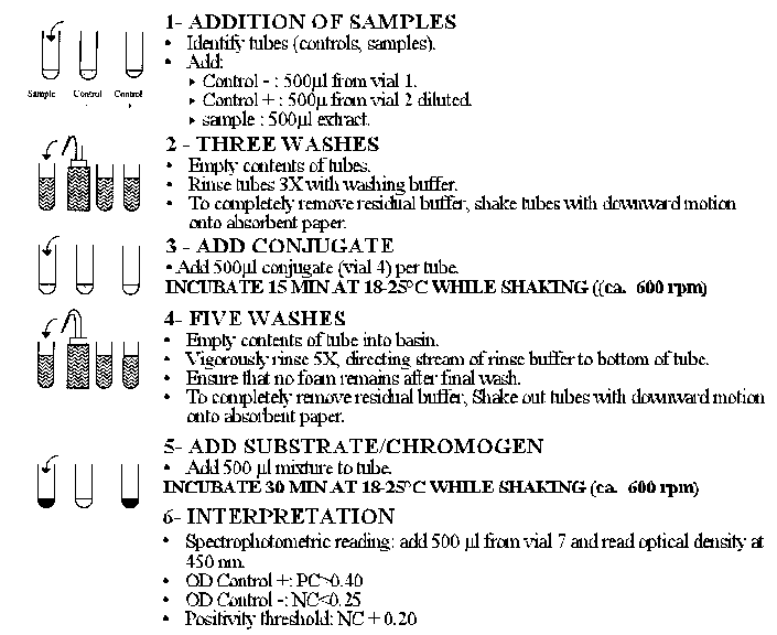 Figure 9. Scheme for Immunoenzymatic test