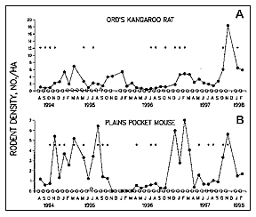 parmntr1abt.gif (6834 bytes)