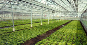Picture of a ISU facility for food safety research
