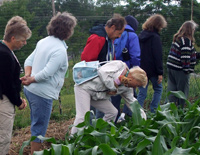46 NY counties served by Master Gardener Volunteers