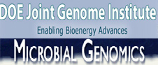 Microbial Genomics