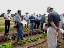 Field day at the CSU Horticulture Research Center, September 2003