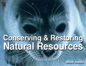 Conserving & Restoring Natural Resources.