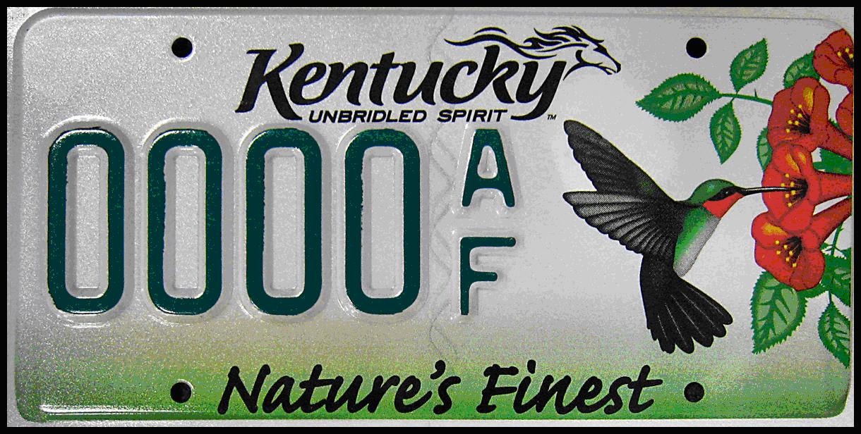 Nature license plate 08 hummingbird