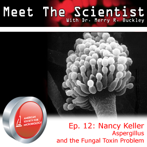 Album Art for Meet the Scientist Podcast Episode 12 featuring Nancy Keller