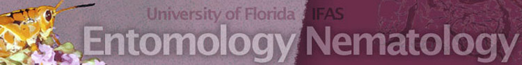 UNIVERSITY OF FLORIDA ENTOMOLOGY AND NEMATOLOGY DEPARTMENT