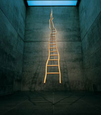 Martin Puryear ladder sculpture