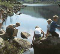 Children playing in a stream