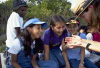 Children looking at bugs with park ranger