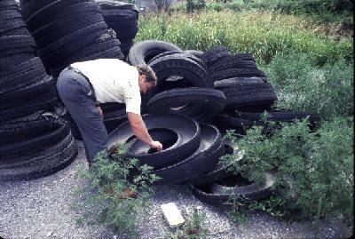 Preventing tires from collecting rain water