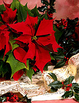 Poinsettia flowers and sheet music for Christmas carols