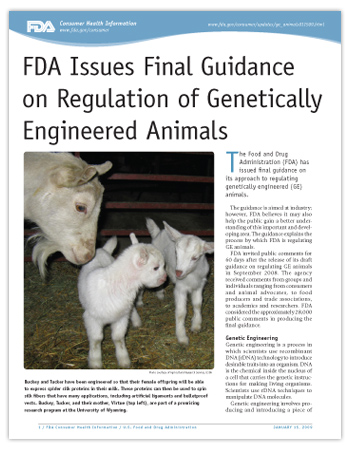 Cover page of PDF version of this article, including photo of two young genetically engineered sheep with their mother. Buckey and Tucker have been engineered so that their female offspring will be able to express spider silk proteins in their milk. These proteins can then be used to spin silk fibers that have many applications, including artificial ligaments and bulletproof vests. Buckey, Tucker, and their mother, Virtue, are part of a promising research program at the University of Wyoming.