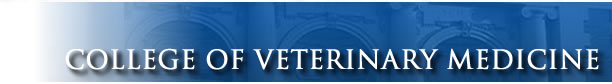 AU College of Veterinary Medicine Home Page