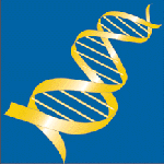 Human Genome