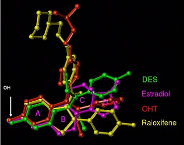 Image of molecular structures of DES, Estradiol, OHT, and Raloxifene