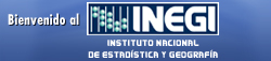 www.inegi.org.mx