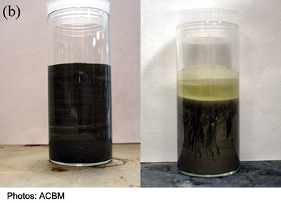 A cement paste sample before and after centrifuging. The solids consolidate, allowing water to bleed to the top. Materials with lower compressive yield stresses will have a lower sediment height.