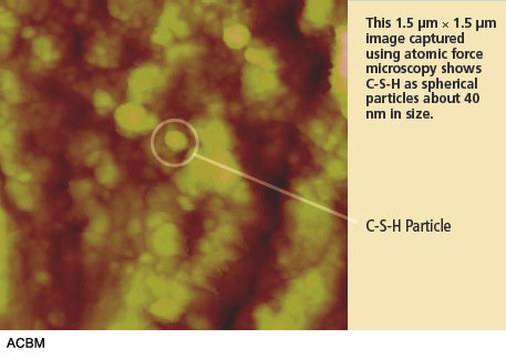 This 1.5 µm x 1.5 µm image captured using atomic force microscopy shows C-S-H as spherical particles about 40 nm in size.