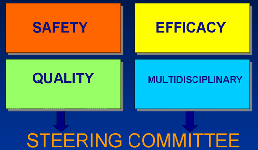 Expert Working Groups: Safety, Efficacy, Quality, Multidisciplinary