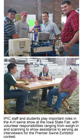 IPIC staff and students play important roles in the 4-H swine show at the Iowa State Fair, with volunteer responsibilities ranging from weigh-in and scanning to show assistance to serving as interviewers for the Premier Swine Exhibitor contest.