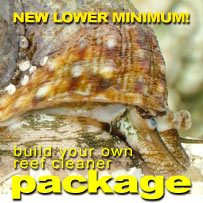 Build Your Own Reef Cleaner Package