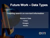 Future Work - Data Types. Link to larger image. 