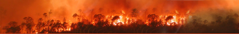 International Association of Wildland Fire
