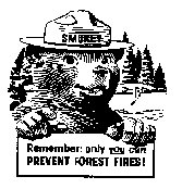 Black and white drawing of Smokey Bear holding a sign that says "Remember: only you can PREVENT FOREST FIRES!"