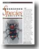 Endangered Species Bulletin cover