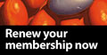 Renew your membership now