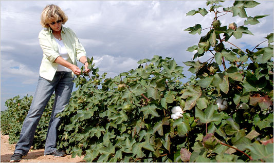 female farmer