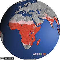 The dark red area indicates where malaria is most widespread in Africa(Map: Malaria Atlas Project)
