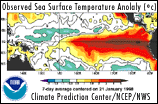 Observed Sea Surface Temperature Image