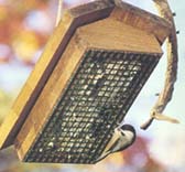 {Suet feeder image}