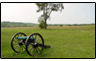 Archeology builds on Civil War history at Wilsons Creek and Pea Ridge, image of a cannon with a tree in the background. Graphic Link.