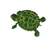 turtle bullet