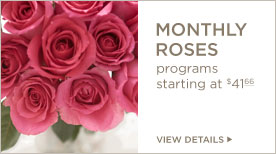 Monthly Roses