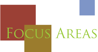 Focus Areas