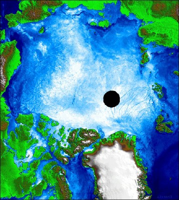 AMSR-E polar sea ice cover